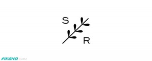 طراحی آرم حرفه ای در وب سایت فیکانو - اصفهان و تمام ایران