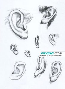 آموزش طراحی شخصیت - طراحی از صورت و سر - سایت فیکانو