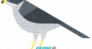 طراحی و تصویر سازی مینیمال - www.fikano.ir